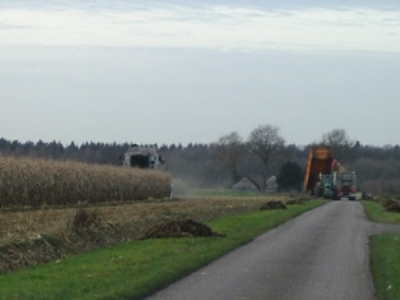 Maisdorsen 2007 01 klein.jpg