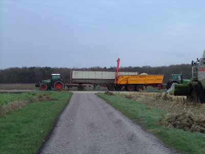 Maisdorsen 2007 20 klein.jpg