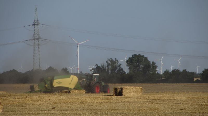 Krone 02.jpg